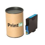 Epson T0482, C13T04824010