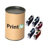 Canon CLI-42 kasetņu komplekts c/m/y/pc/bk (Printle)