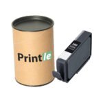 Canon PFI-300MBK (4192C001) matte black 14ml (Printle)